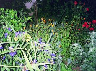IMG020.JPG